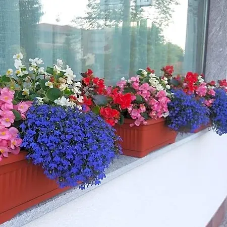Verbena Bed & Breakfast