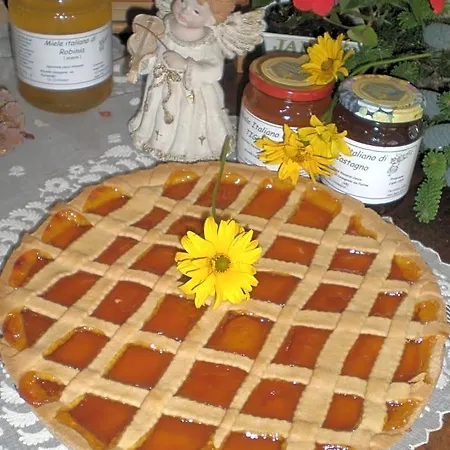 Verbena Bed & Breakfast