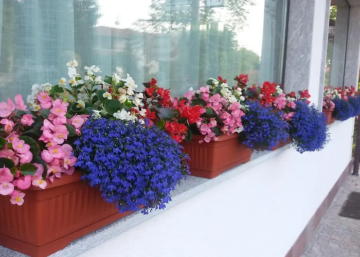 Verbena Nocleg ze śniadaniem