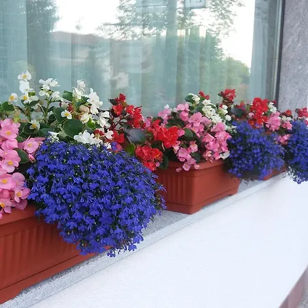 Verbena Bed & Breakfast